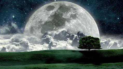 Moonlight Landscape Wallpapers - Top Free Moonlight Landscape ...