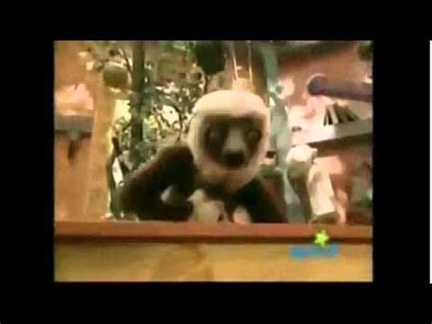 Zoboomafoo Theme song English - YouTube