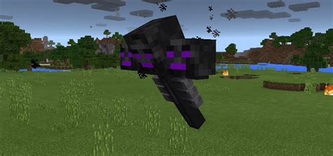 Ender Wither Addon | Minecraft PE Mods & Addons