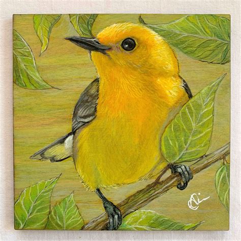 Yellow Bird | Bird illustration, Fantasy portraits, Bird