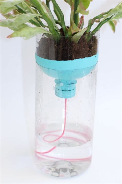 DIY Self Watering Planters With Recycled Bottles | Diy self watering ...