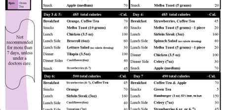 Diet Plan For 500 Calories A Day - coconews