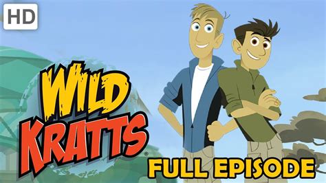 Wild Kratts - Birds of a Feather (Full Episode) - YouTube