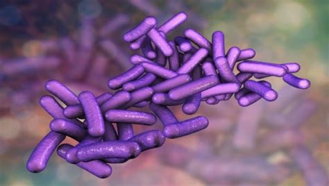 Denmark investigates Shigella outbreak with 40 sick | Food Safety News