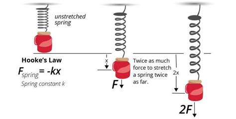 Hookes Law - Understanding Definition, Formula, and Graph