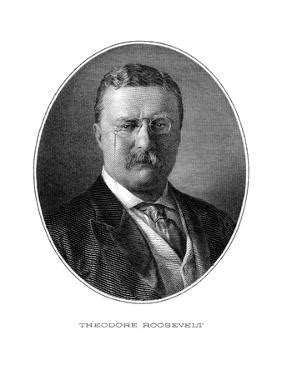 Theodore Roosevelt Posters, Prints, Paintings & Wall Art | AllPosters.com