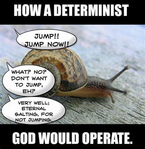 That snail though! | Calvinism, Calvinist, John calvin