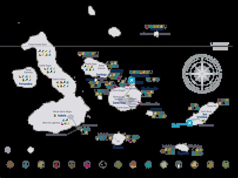 Información sobre las Islas Galápagos | Metropolitan Touring