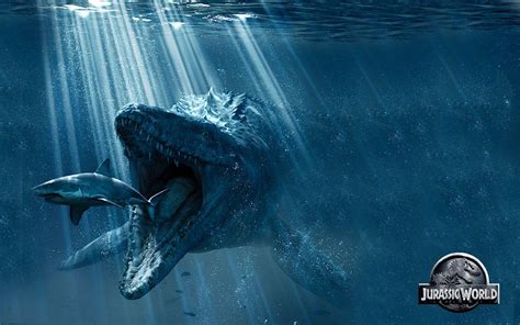 Mosasaurus Wallpapers - Top Free Mosasaurus Backgrounds - WallpaperAccess