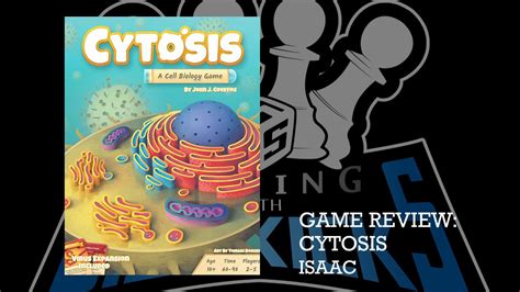 cytosis – Gaming With Sidekicks