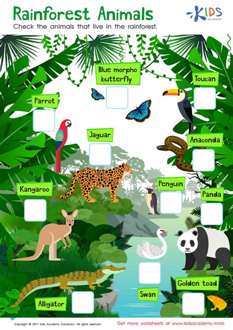 Rainforest Animals Worksheet: Free Printable PDF for Kids