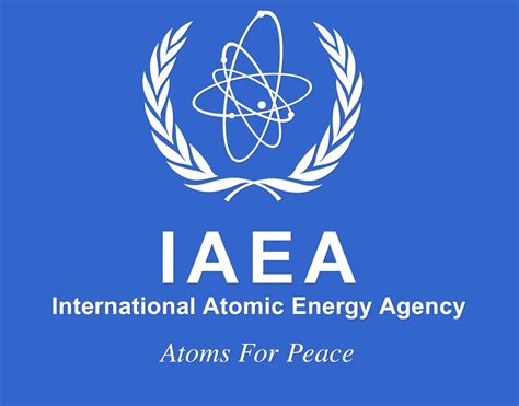 IAEA must obtain information through legal means: international law expert - Tehran Times