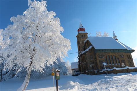 Winter Church Tree - Free photo on Pixabay - Pixabay