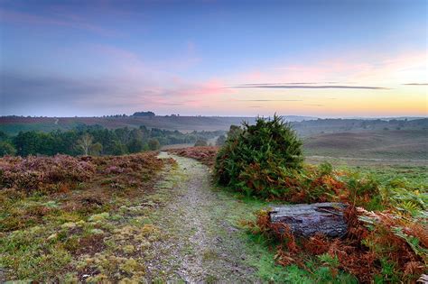 10 Best Hiking Trails in New Forest National Park - Discover the Top ...