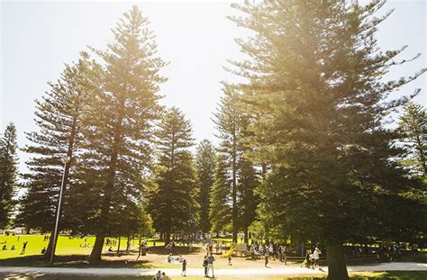 The Most Beautiful Parks In Perth For Winter Walks And Picnics | URBAN LIST PERTH