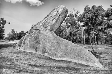 Dinosaur shape rock Photograph by Kiran Joshi - Fine Art America