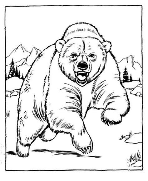 Grizzly Bear Coloring Page | Zoo animal coloring pages, Animal drawings ...