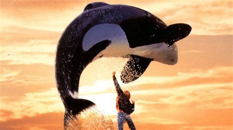 Culture Re-View: Remembering Keiko the Orca, 20 years after his death