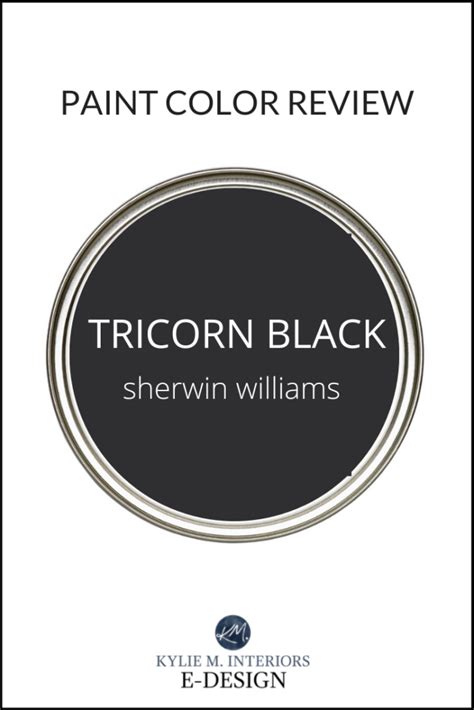 SHERWIN WILLIAMS TRICORN BLACK 6258: Paint Color Review - Kylie M Interiors