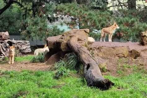 Phillip Island Wildlife Park