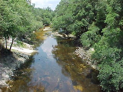 Alapaha River - WorldAtlas