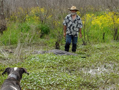 Louisiana Swamp Tours: Louisiana Swamp Tour With Alligators