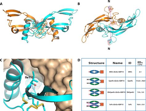 Long-acting MIC-1/GDF15 molecules to treat obesity: Evidence from mice to monkeys | Science ...