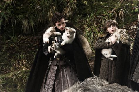 Bran Stark’s direwolf on ‘Game of Thrones’ dies after its battle with cancer - Entertainment ...