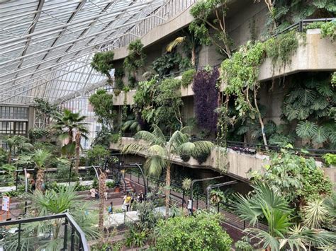 10 unusual parks or gardens in London…8. Barbican Conservatory ...