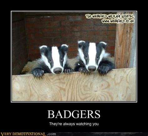 Very Demotivational - badgers - Very Demotivational Posters - Start ...