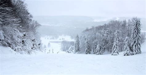 Free Skiing Today at Boyne Highlands | First Tracks!! Online Ski Magazine