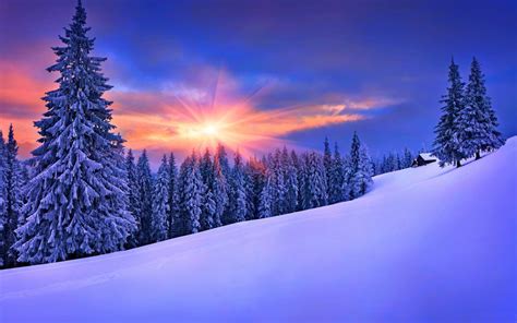 Fondos de pantalla : luz de sol, paisaje, bosque, cielo, nieve ...