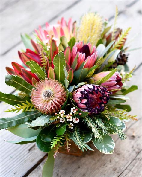 king protea flower arrangements - Wilfredo Barrow