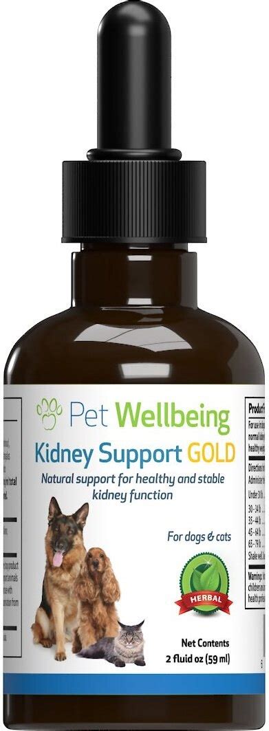 PET WELLBEING Kidney Disease Support Gold Cat Supplement, 2-oz bottle ...