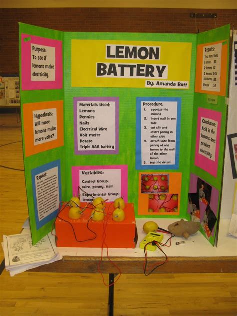 Pin on Science Projects Middle School