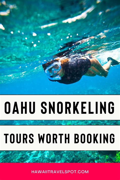 Which Oahu Snorkeling Tours are Worth Booking? (2023) - Hawaii Travel Spot