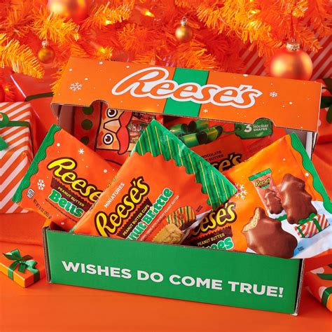 Buy REESE’S Chocolate Candy Variety Pack – REESE’S Milk Chocolate and Peanut Brittle Candy Gift ...