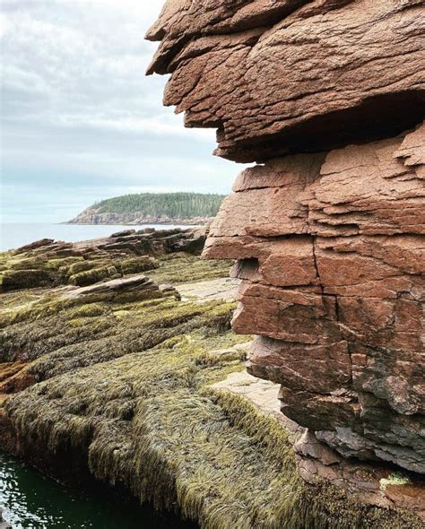 2024 ULTIMATE Guide To Thunder Hole In Acadia National Park