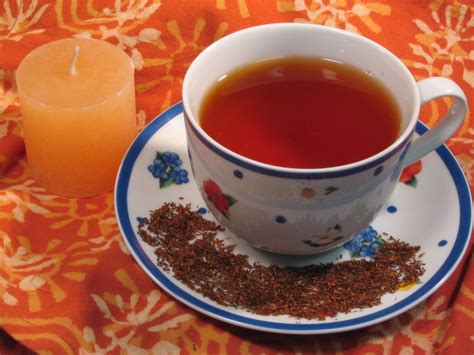 Rooibos So. African Red Bush Tea, Organic – Elaine's Wild Orchid Teas