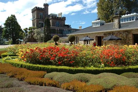 The Gardens at Larnach Castle - Larnach Castle & Gardens - New Zealand's only castle, visit us ...