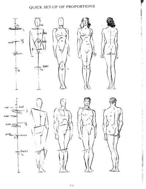 Drawing the Human as a Manakin – the Loomis Method | COMD 1231 Figure ...