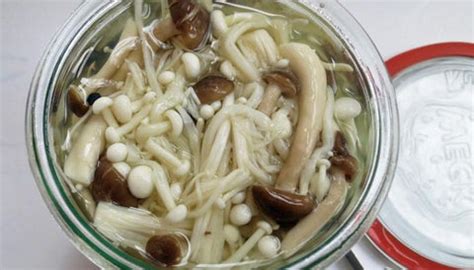 Enoki recipes – Forest Mushrooms