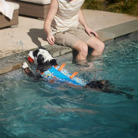 9 Tips for Keeping Dogs Safe in the Pool | BeChewy