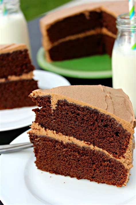 Coffee Lover's Chocolate Mocha Cake - The Complete Savorist