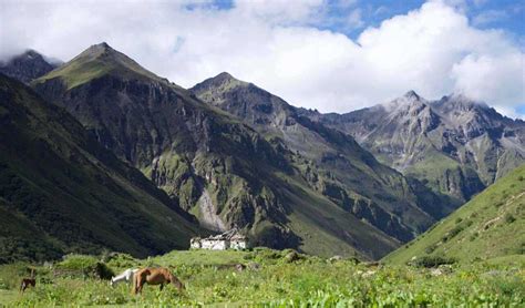 12 Days Jomolhari Mountain Festival of Bhutan | Bhutan Acorn Tours and Travel