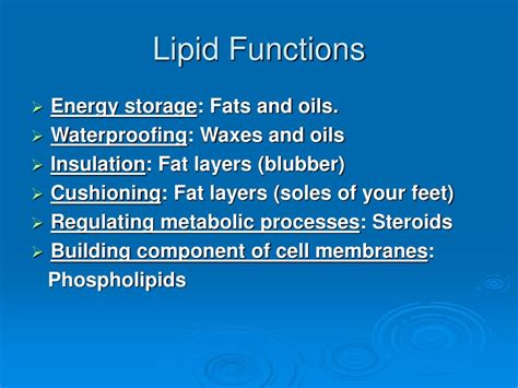 PPT - Macromolecules: Carbohydrates, Lipids, Proteins and Nucleic Acids PowerPoint Presentation ...