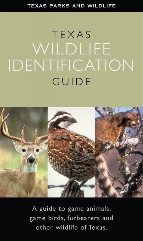 Texas Wildlife Identification Guide - Texas Parks & Wildlife Department