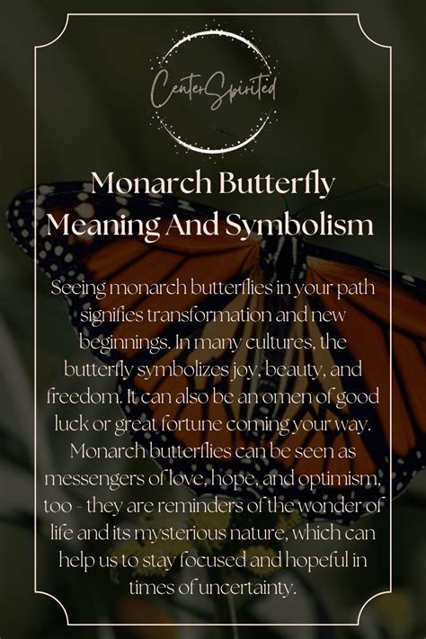 Monarch Butterfly Meaning And Symbolism of Seeing OneMonarch butterflies have long been an ob ...