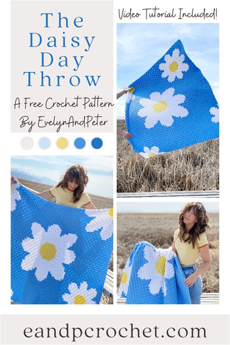 Crochet Daisy Flower Blanket Pattern | Best Flower Site