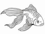 Free Printable Goldfish Coloring Pages For Kids sketch template